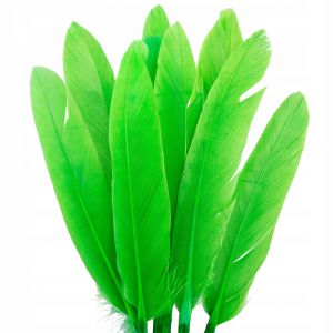 Piórka lotki Czakos 17cm, Zielone